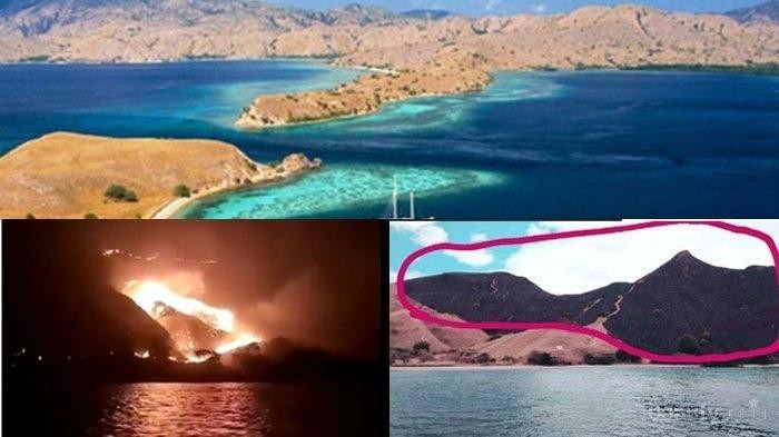 [FORUM] Gimana pendapat kamu soal Taman Nasional Komodo Gili Lawa yang Kebakaran?