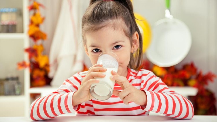 Caucasian toddler girl is drinking milk in studio.