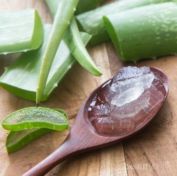 Produk Aloe Vera Gel Terlalu Mahal? Atasi Jerawatmu dengan Cara Ini Saja!