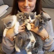 [BEAUTYNESIA CHALLENGE] Punya Kucing Kesayangan? Yuk, Tunjukkan Foto Kucing Lucu Kamu di Sini!