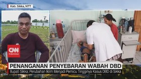 VIDEO: Bupati Sikka Bicara Penanganan Penyebaran Wabah DBD