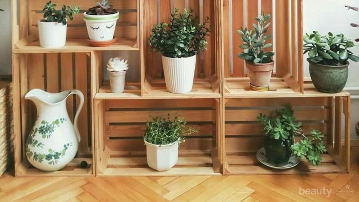 Enggak Ribet & Banyak Manfaat, Ini Tanaman yang Mudah Dipelihara di Dalam Ruangan!