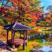 8 Tempat di Korea Selatan yang Wajib Dikunjungi Saat Musim Gugur