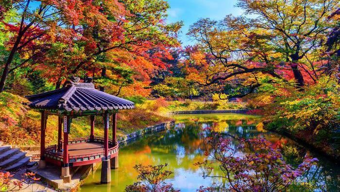 8 Tempat di Korea Selatan yang Wajib Dikunjungi Saat Musim Gugur