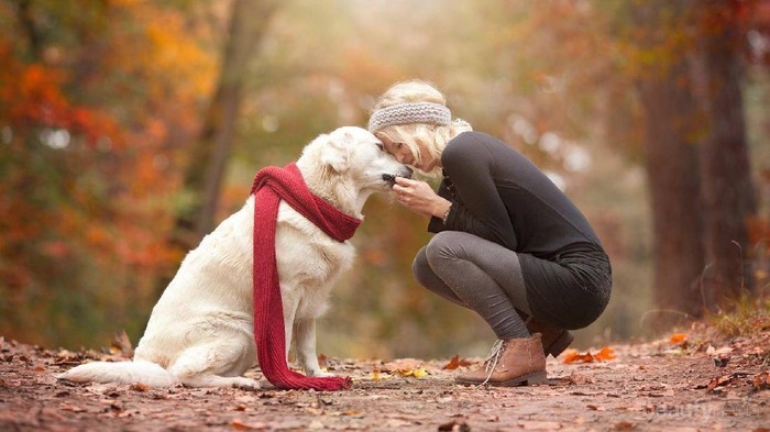 Katanya Orang Bershio Anjing Tanah Identik dengan Sifat Ini, Setuju Enggak?