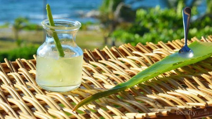 Jangan Sembarangan Pakai, Cari Tahu Dulu Manfaat Lidah Buaya Untuk Kulitmu!