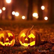 Buah Labu Identik dengan Perayaan Halloween, Kenapa Ya?