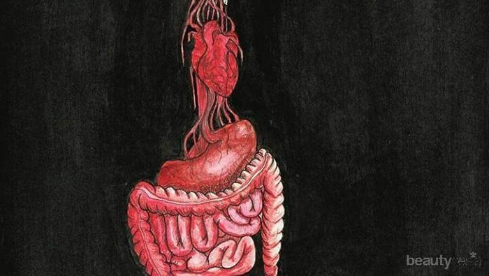 [HORROR STORY] Percaya atau Tidak, Begini Asal-usul Legenda Urban Palasik