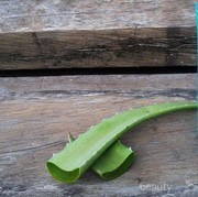 Wardah Aloe Vera Gel Sebenernya Untuk Wajah Atau Badan Ya?