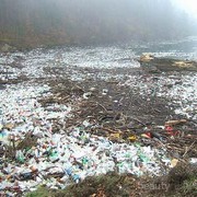 Deretan Komunitas Ini Mengajak Kamu Mulai Aktif Jaga Lingkungan, Ikutan Yuk!