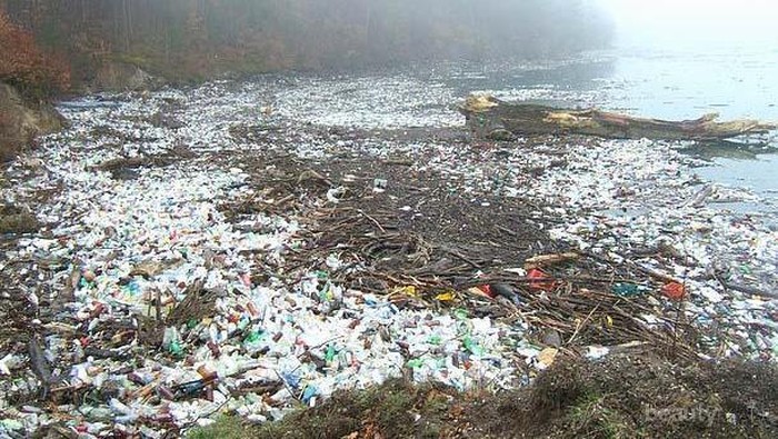 Deretan Komunitas Ini Mengajak Kamu Mulai Aktif Jaga Lingkungan, Ikutan Yuk!