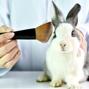 Mungkin Kamu Gak Sadar, Ternyata Ini Sisi Kelam Di balik Produk Kosmetik!