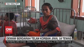 VIDEO: Demam Berdarah Telan Korban Jiwa, 14 Tewas