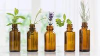 Semua Hal Yang Perlu Kamu Tahu Tentang Essential Oils