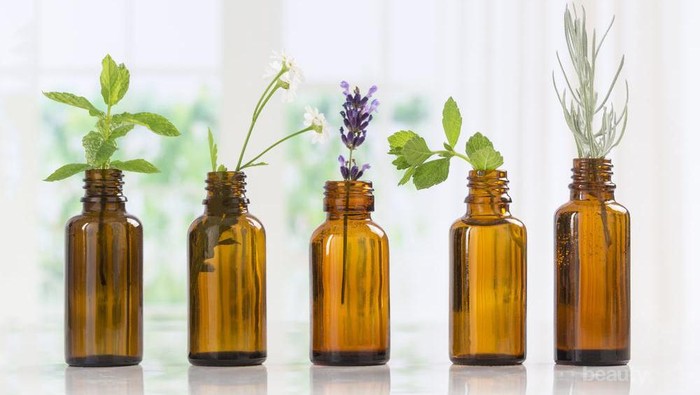 Semua Hal yang Perlu Kamu Tahu Tentang Essential Oils