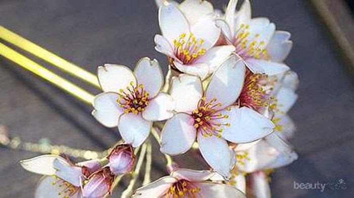 Belajar Bahasa Jepang Lebih Mudah Dengan Aplikasi Ini