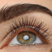 #FORUM Gimana sih Cara Bikin Alis Keren dan Gak Serem Kayak Lambang Nike Terbalik?