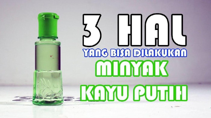 #FORUM Minyak Kayu Putih Bisa Buat Ngecilin Jerawat? Mitos or Fakta? #FORUM Minyak Kayu Putih Bisa Buat Ngecilin Jerawat? Mitos or Fakta?