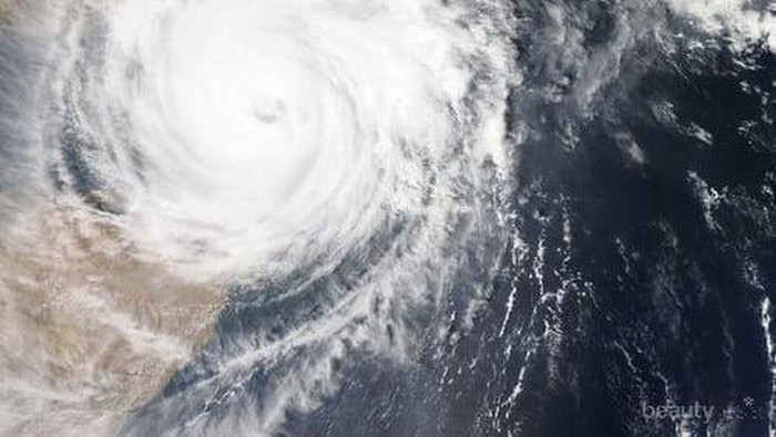 Fakta Seputar Topan Hagibis yang Hantam Jepang