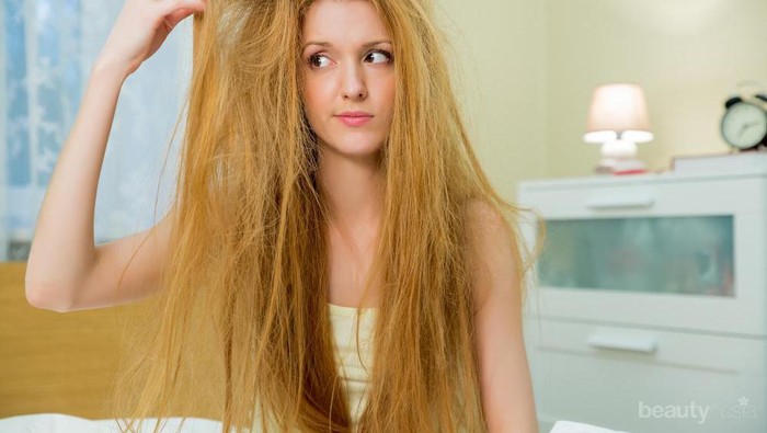 Ladies.. Gimana sih cara mengatasi rambut megar kayak singa?? Ladies.. Gimana sih cara mengatasi rambut megar kayak singa??