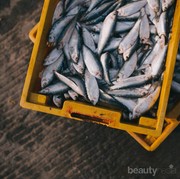 Mitos atau Fakta: Benarkah Rutin Makan Ikan Turunkan Risiko Asma?