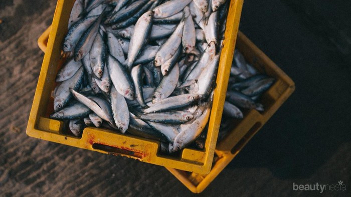 Mitos atau Fakta: Benarkah Rutin Makan Ikan Turunkan Risiko Asma?