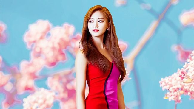 Tzuyu TWICE kembali ke Korea Selatan pada Kamis (19/3) setelah mengisolasi diri sendiri di Taiwan sejak dua pekan lalu demi mencegah penyebaran virus corona.