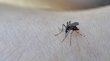 APA VAKSIN DENGUE DITANGGUNG BPJS KESEHATAN
