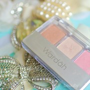 #FORUM Terjangkau Abis! Eyeshadownya Wardah Bagus Enggak? Warna Apa yang Wajib Dibeli??