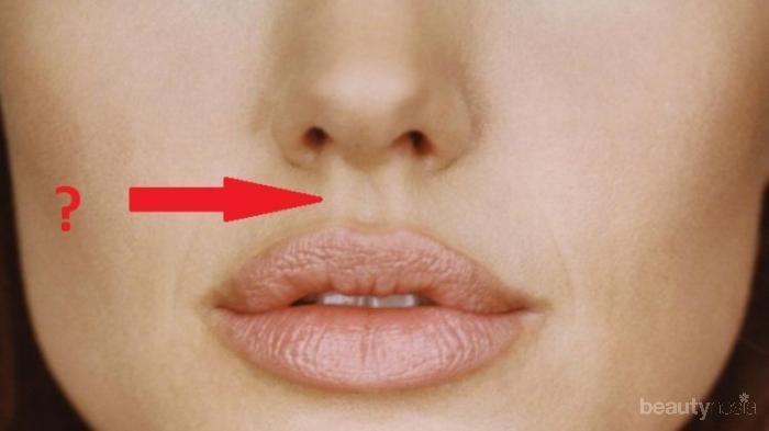 Cara Menghilangkan Jerawat Di Hidung Bagian Luar