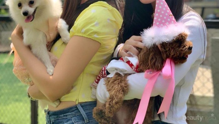 10 Ucapan Ulang Tahun Terbaik untuk Sahabat