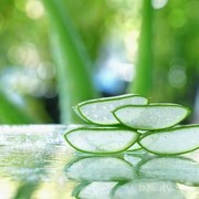 Ciri-ciri Kamu Tidak Cocok Memakai Aloe Vera Gel