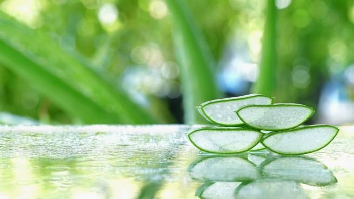 Ciri-ciri Kamu Tidak Cocok Memakai Aloe Vera Gel