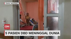 VIDEO: Lima Pasien DBD di Ciamis Meninggal Dunia