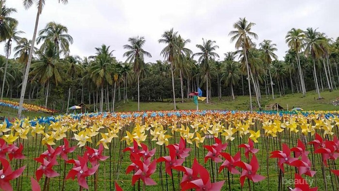 Baru di Aceh, Kamu Bisa Liburan Hemat di Taman Belangi