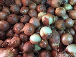 Bea Cukai Kalbagbar Gagalkan Penyelundupan 21 Ton Bawang Bombai