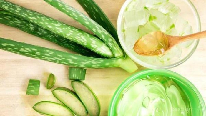 [FORUM] Rekomendasi aloe vera selain natrep dong