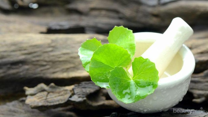 Gak Cuma Buat Jerawat, Kandungan Centella Asiatica Ternyata Mampu Atasi Stretch Mark