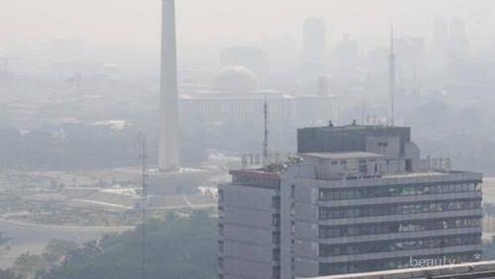 Jaga Kesehatan Paru-paru di Tengah Polusi Udara Jakarta dengan Konsumsi Makanan Ini