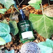 Jerawat Cepat Hilang dengan 5 Produk Tea Tree Oil Korea Ini