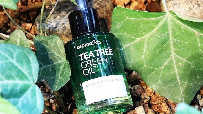 Jerawat Cepat Hilang dengan 5 Produk Tea Tree Oil Korea Ini