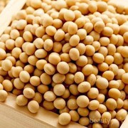 Kacang Kedelai Kaya Protein dan Antioksidan, Ini Manfaatnya untuk Kecantikan