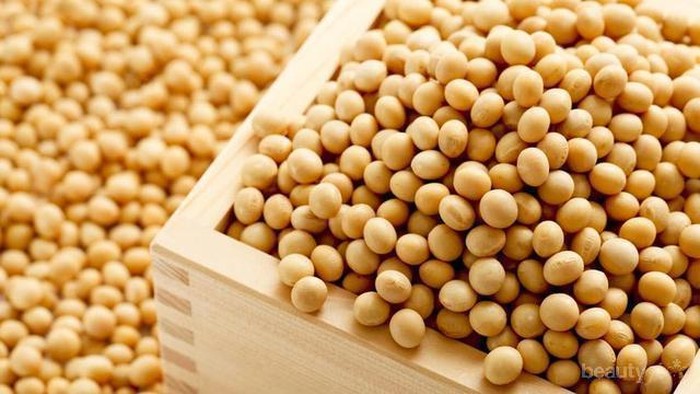 Kacang Kedelai Kaya Protein dan Antioksidan, Ini Manfaatnya untuk Kecantikan