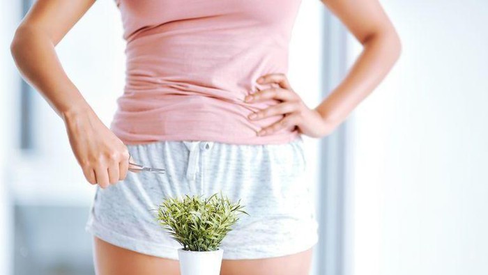 Ladies, Ternyata Ini Lho Dampak Buruk Jika Kamu Mencukur Bulu Kemaluan