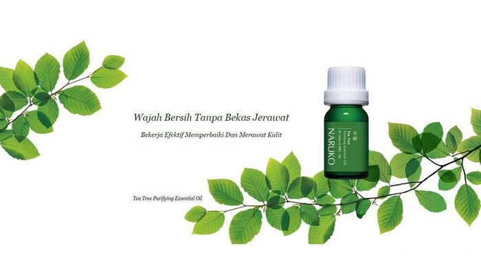 Jerawat Bandel Susah Hilang? Coba 5 Produk Tea Tree Oil Ini