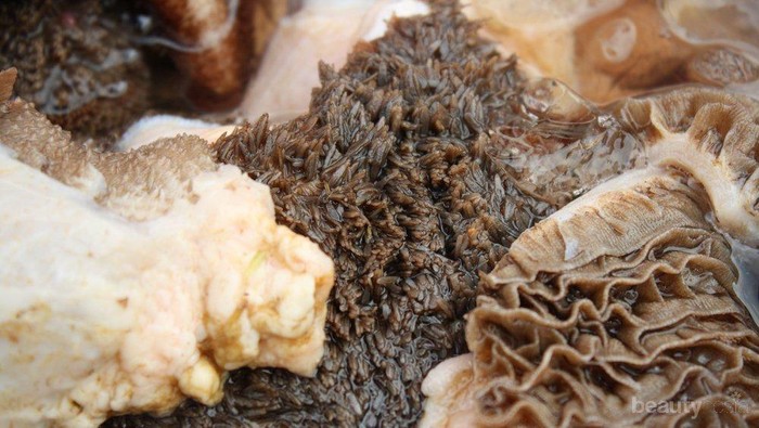 Suka Makan Jeroan? Hati-hati dengan Risiko Ini Ya, Ladies!