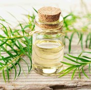 Mengapa Tea Tree Oil Ampuh untuk Membasmi Jerawat?