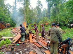 Pondok Persembunyian Pembalak Liar Dibakar di Kawasan Konservasi Riau