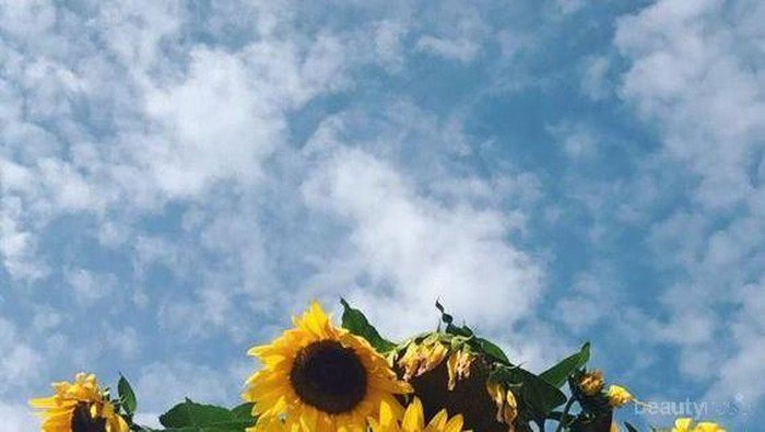 Wajib Ketahui! Selain Indah, Bunga-Bunga Ini Juga Bisa Dimakan Lho