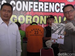 Perdana Tangani Kasus Tembakau Gorila, Polda Gorontalo Tangkap 2 Mahasiswa